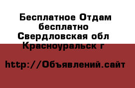 Бесплатное Отдам бесплатно. Свердловская обл.,Красноуральск г.